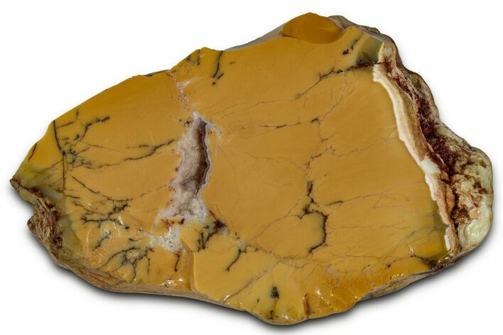 Polished Yellow Dendritic Opal Slab - Western Australia #353800